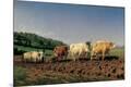 Premium Giclee Print