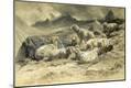 Giclee Print