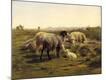 Giclee Print