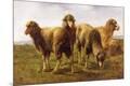 Giclee Print