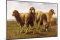 Giclee Print