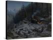 Stretched Canvas Print