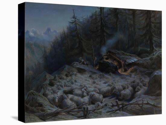 Stretched Canvas Print, , large