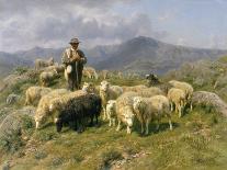 Sheep in a Landscape, Brittany-Rosa Bonheur-Giclee Print