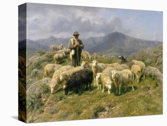 Stretched Canvas Print, , large