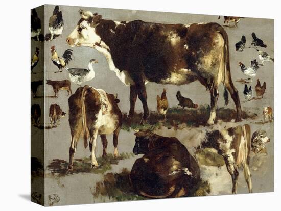 Stretched Canvas Print, , large
