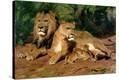 Stretched Canvas Print
