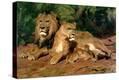 Stretched Canvas Print