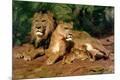 Giclee Print
