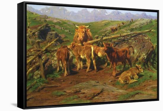 Stretched Canvas Print, , large