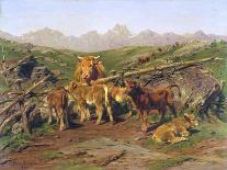 Etude de cheval blanc-Rosa Bonheur-Giclee Print