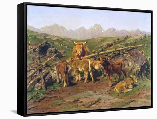 Stretched Canvas Print, , large