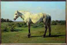 A Grey Camarguen Stallion in a Clearing-Rosa Bonheur-Giclee Print
