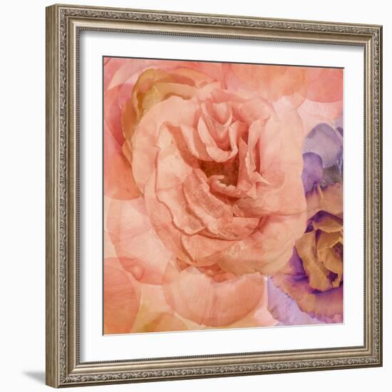 Rosa Cuadrada-Moises Levy-Framed Giclee Print