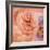 Rosa Cuadrada-Moises Levy-Framed Giclee Print