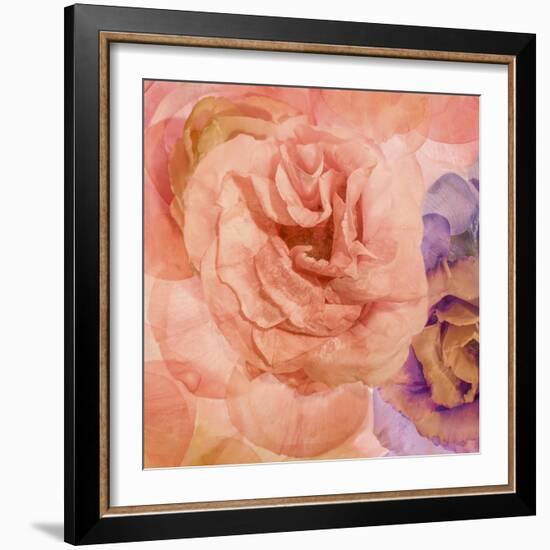 Rosa Cuadrada-Moises Levy-Framed Giclee Print