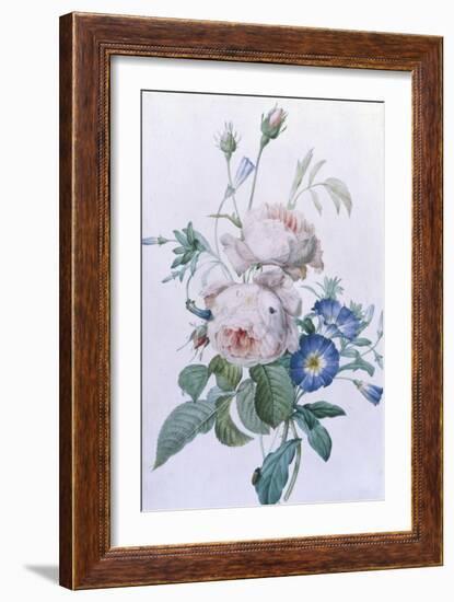 Rosa Damascena-Pierre-Joseph Redouté-Framed Giclee Print