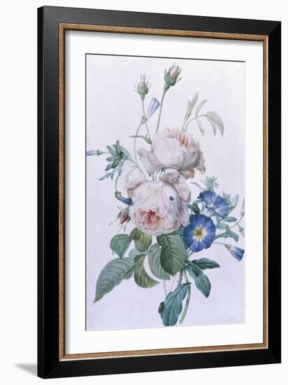 Rosa Damascena-Pierre-Joseph Redouté-Framed Giclee Print