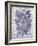 Rosa Dorada - Indigo-Tania Bello-Framed Giclee Print