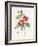 Rosa Eglantera Punicea-Pierre-Joseph Redouté-Framed Giclee Print