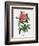 Rosa Gallica Reglais-Pierre-Joseph Redouté-Framed Giclee Print