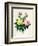 Rosa Lutea and Rosa Indica, from "Les Choix Des Plus Belles Fleurs," 1827-Pierre-Joseph Redouté-Framed Giclee Print