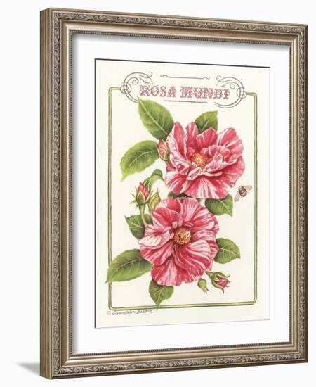 Rosa Mundi-Gwendolyn Babbitt-Framed Art Print