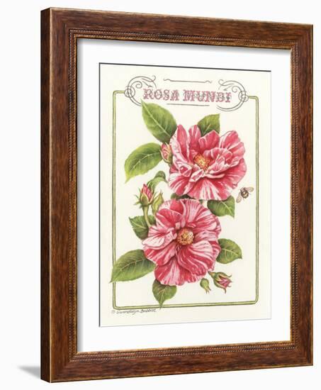 Rosa Mundi-Gwendolyn Babbitt-Framed Art Print