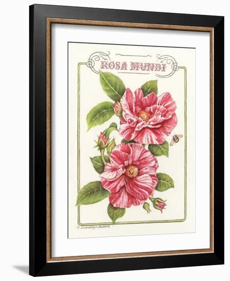 Rosa Mundi-Gwendolyn Babbitt-Framed Art Print