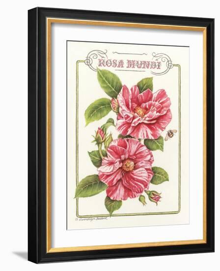 Rosa Mundi-Gwendolyn Babbitt-Framed Art Print