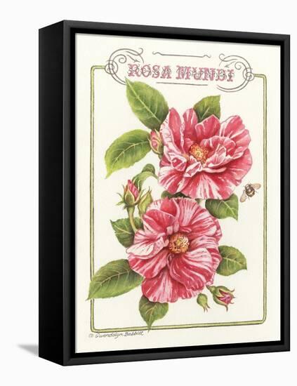 Rosa Mundi-Gwendolyn Babbitt-Framed Stretched Canvas