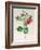 Rosa Rapa-Pierre Petit-Framed Giclee Print