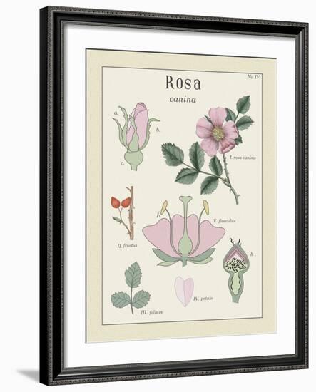 Rosa-Maria Mendez-Framed Giclee Print