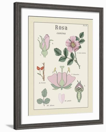 Rosa-Maria Mendez-Framed Giclee Print