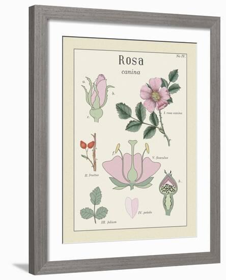 Rosa-Maria Mendez-Framed Giclee Print