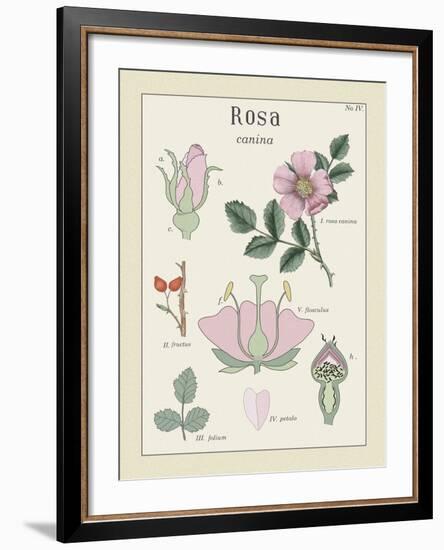 Rosa-Maria Mendez-Framed Giclee Print