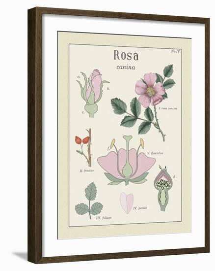 Rosa-Maria Mendez-Framed Giclee Print