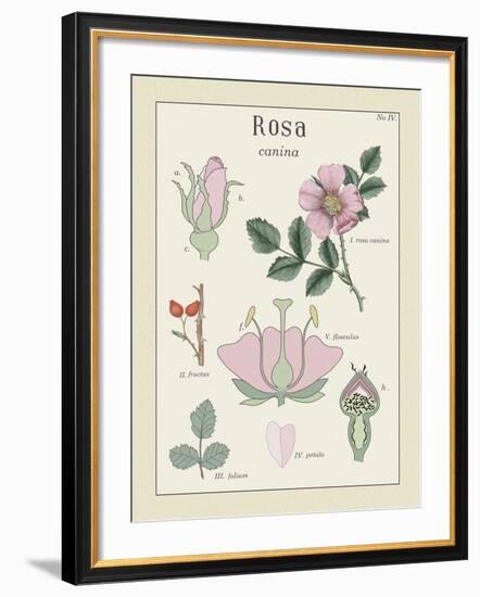 Rosa-Maria Mendez-Framed Giclee Print