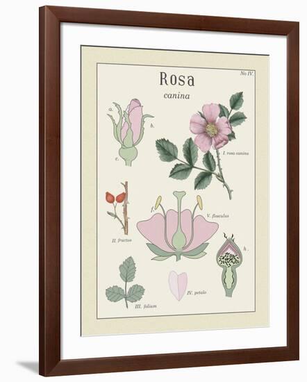 Rosa-Maria Mendez-Framed Giclee Print