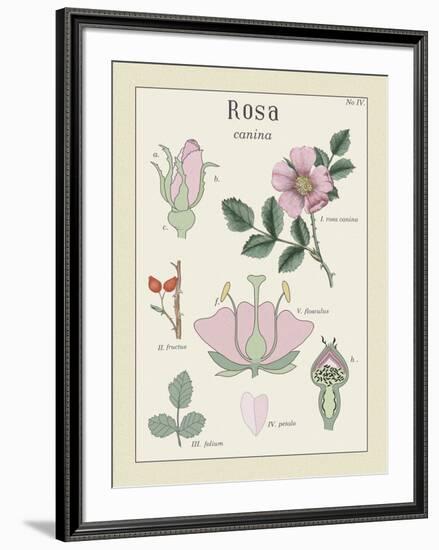 Rosa-Maria Mendez-Framed Giclee Print