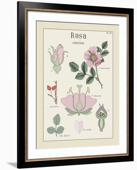 Rosa-Maria Mendez-Framed Giclee Print