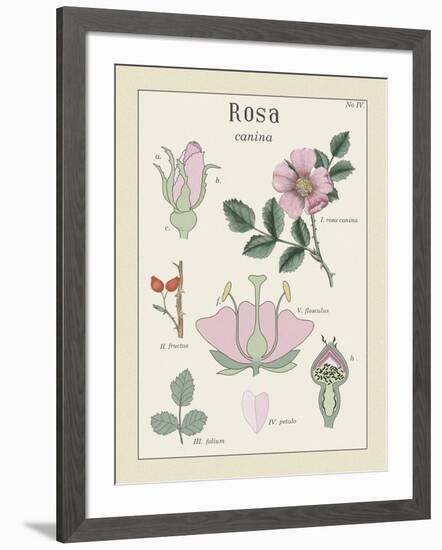 Rosa-Maria Mendez-Framed Giclee Print