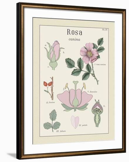 Rosa-Maria Mendez-Framed Giclee Print