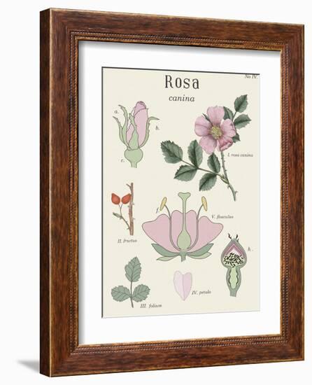 Rosa-Maria Mendez-Framed Art Print