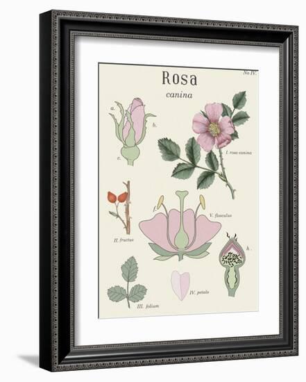 Rosa-Maria Mendez-Framed Art Print