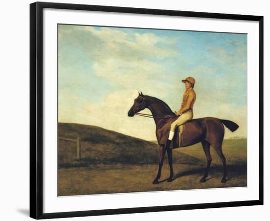 Rosaletta-George Stubbs-Framed Premium Giclee Print