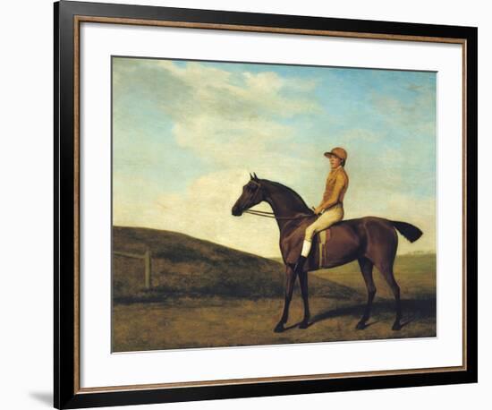 Rosaletta-George Stubbs-Framed Premium Giclee Print