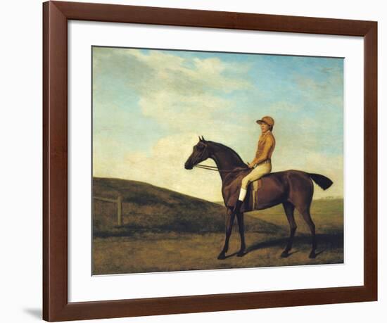 Rosaletta-George Stubbs-Framed Premium Giclee Print