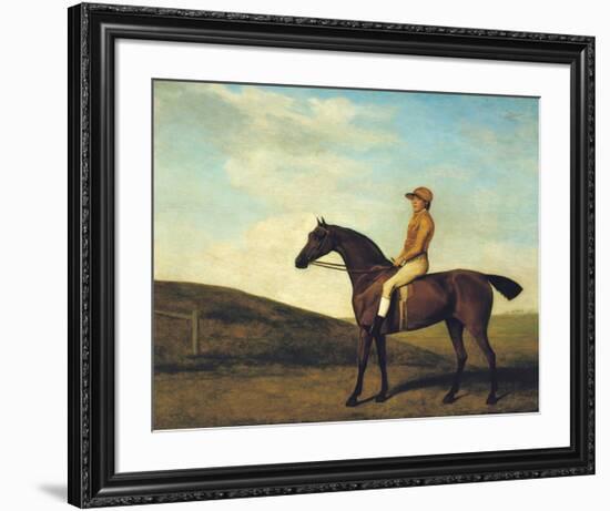 Rosaletta-George Stubbs-Framed Premium Giclee Print