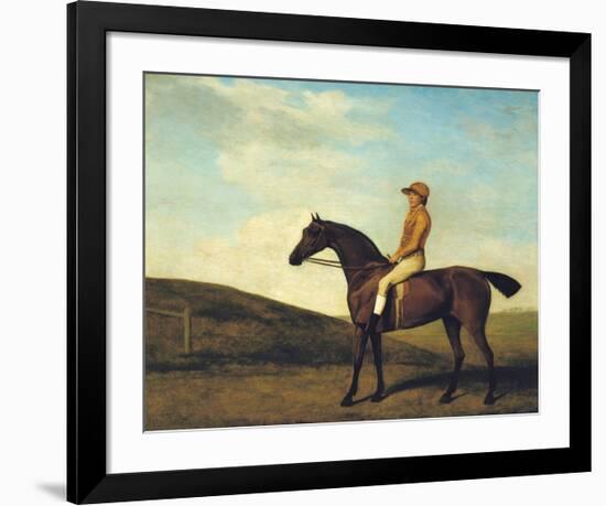 Rosaletta-George Stubbs-Framed Premium Giclee Print